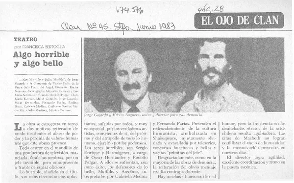 Algo horrible y algo bello  [artículo] Francisca Bertoglia.