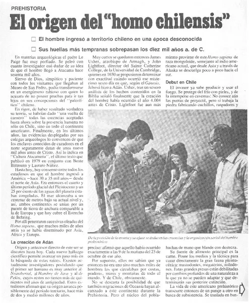 El origen del "homo chilensis"  [artículo] Richard Vera.