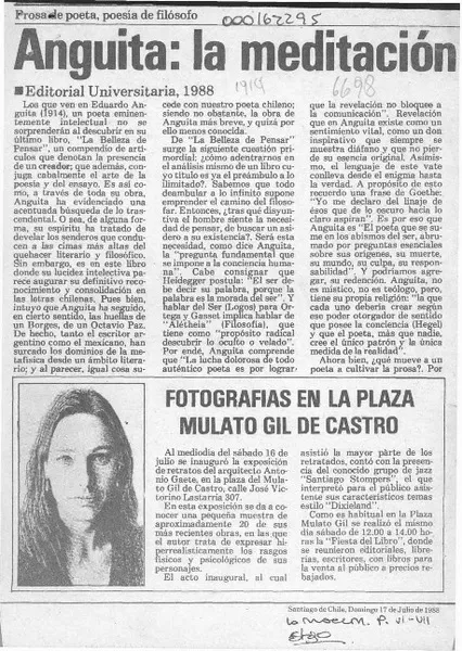 Anguita, la meditación como arte  [artículo] César Vásquez.