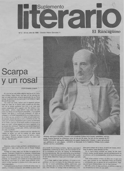 Scarpa y un rosal  [artículo] Ernesto Livacic.