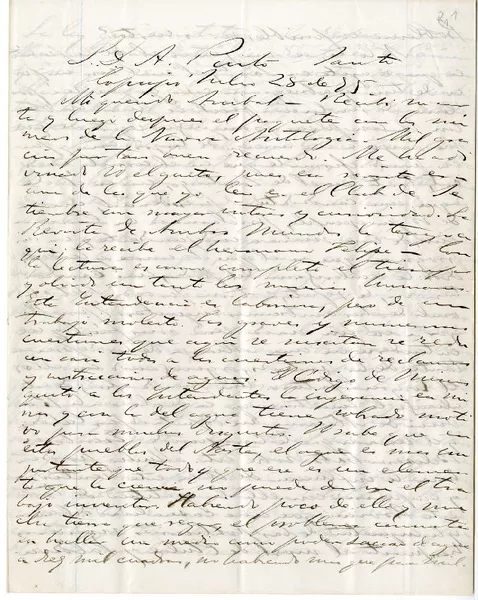 [Carta] 1875 julio 28, Copiapó, Chile [a] Aníbal Pinto  [manuscrito] Guillermo Matta.