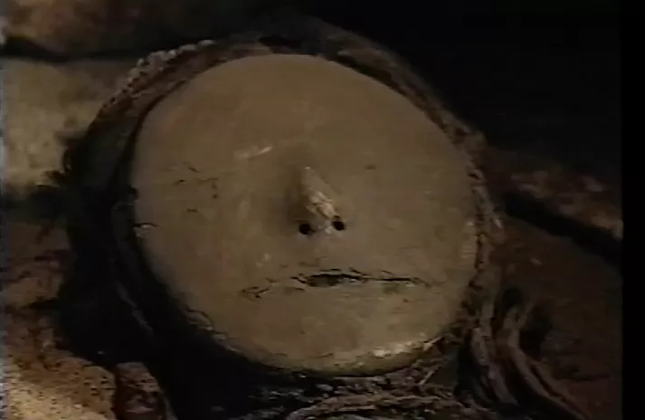 Chinchorro las momias más antiguas del mundo = Chinchorro : the world's oldest mummies [videograbación] : Producción general, Pablo Rosenblatt ; dirección, Mariano Riveros ; producción ejecutiva, Alvaro González.