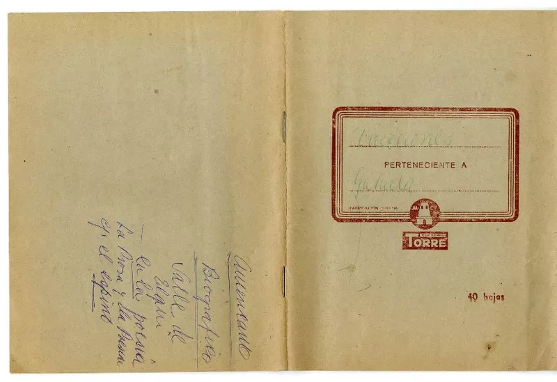 Direcciones de Gabriela  [manuscrito] Laura Rodig.