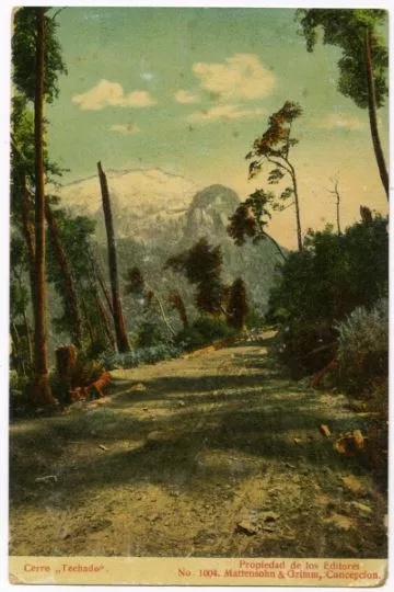 Cerro "Techado"  [fotografía] Mattensohn & Grimm.