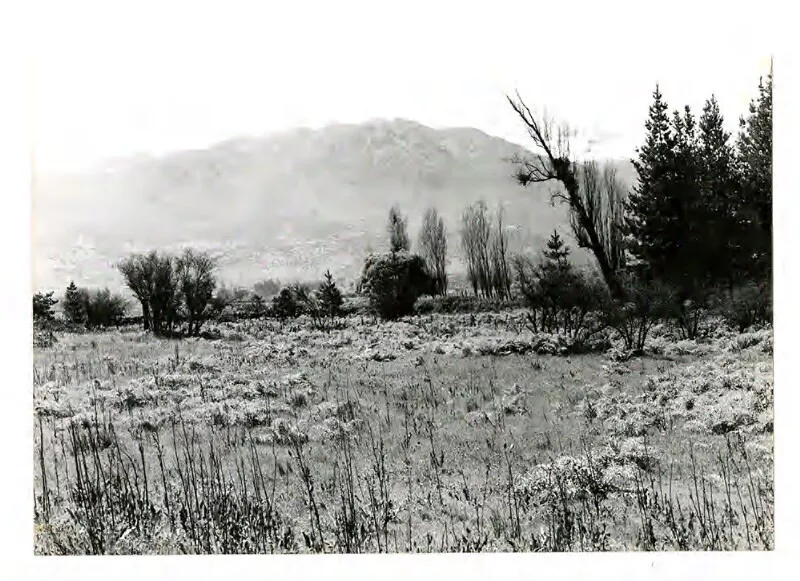 Campo chileno, Chile Central  [Fotografía] Bob Borowicz.
