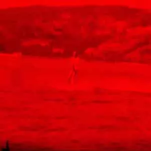 Se escuchó ladrido  [videograbación] Jerónimo Rodríguez
