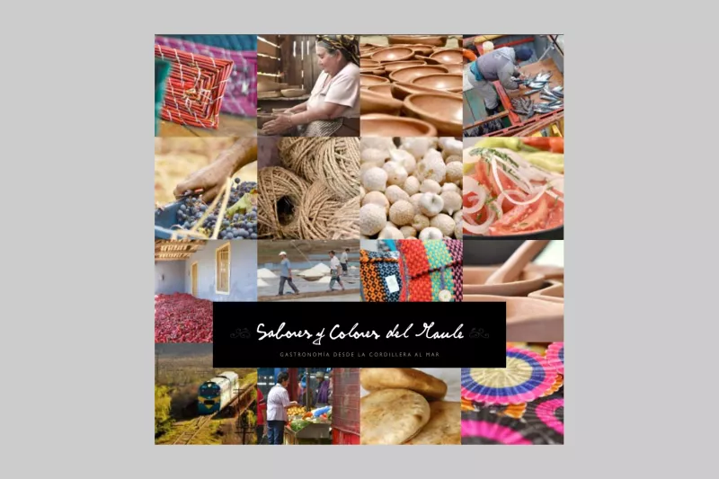Sabores y Colores del Maule: Gastronomía desde la cordillera al mar