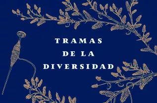 Tramas de la diversidad. Reflexiones, debates y propuestas en torno al patrimonio en Chile