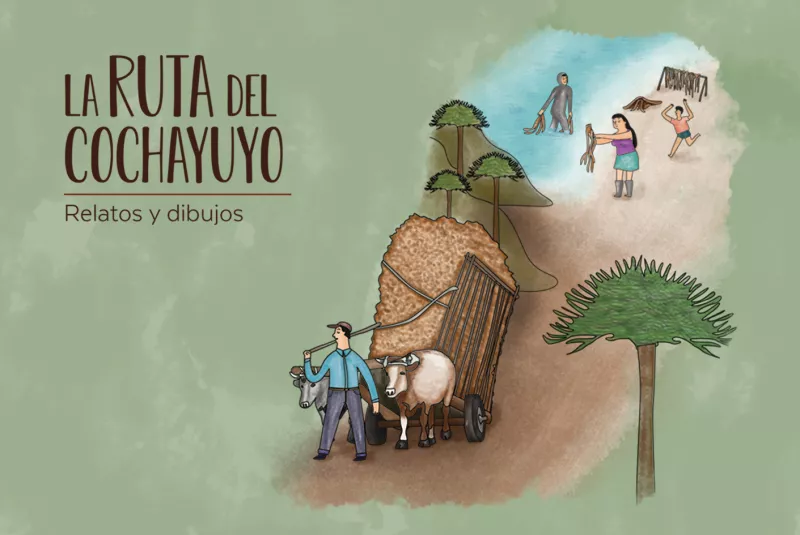La Ruta del Cochayuyo: relatos y dibujos