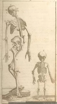 La medicina colonial chilena