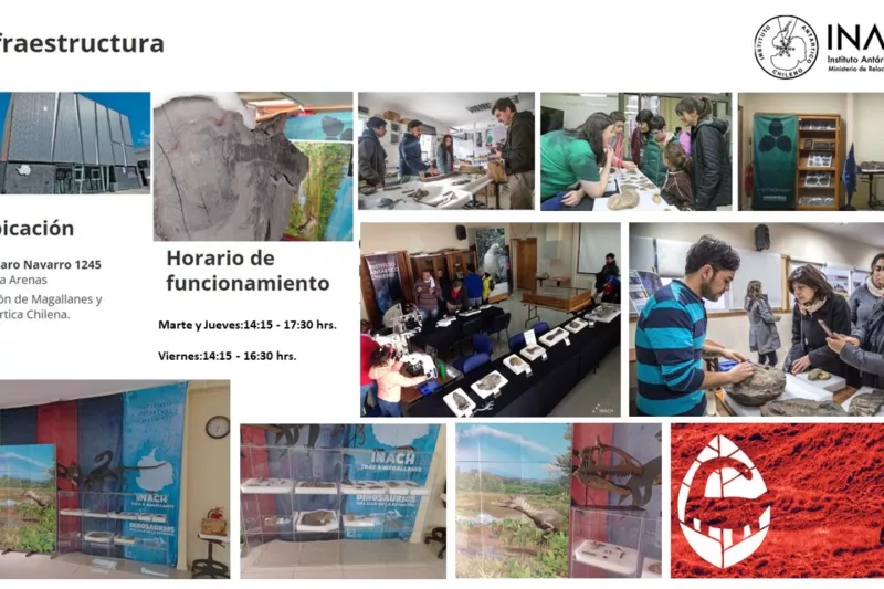 Colección Paleontológica de Antártica y Patagonia