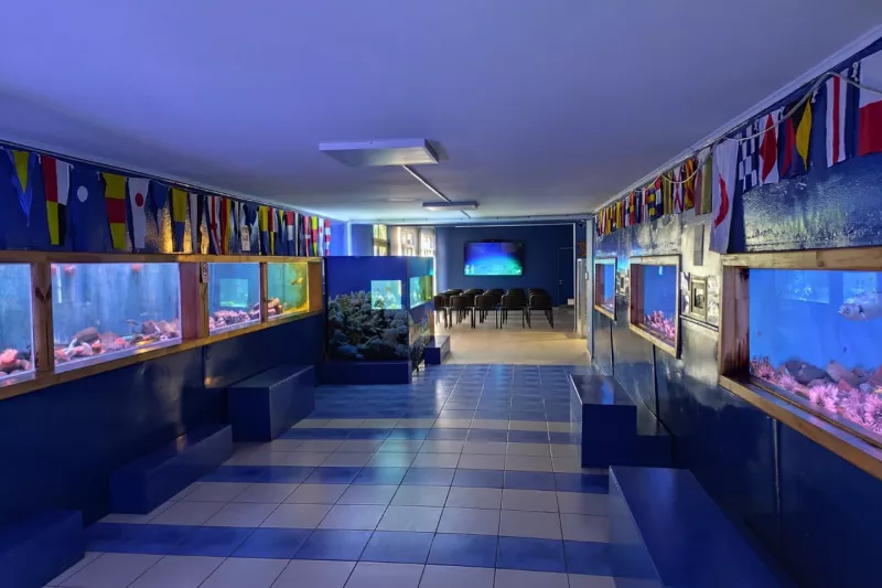 Museo-Acuario y Sala de Colecciones FCM