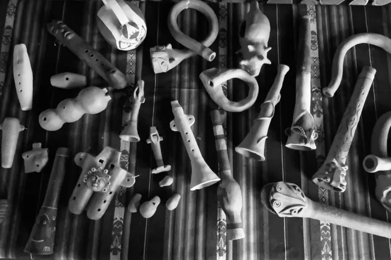 Museo de Luthería y Organología