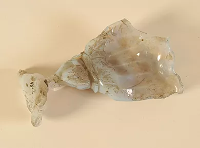 Copa