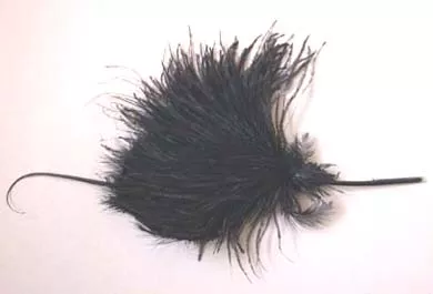 Aigrette