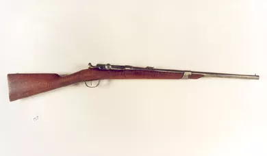Arma de fuego