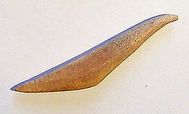 Barba de arpón