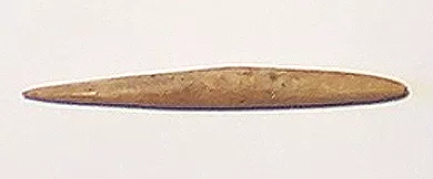 Cabezal de arpón