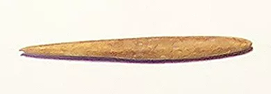 Cabezal de arpón