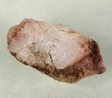 Lasca