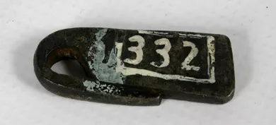 Pesa (componente de balanza)