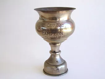 Copa amatoria