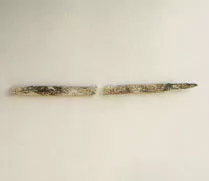 Aguja (arqueológico y etnográfico)