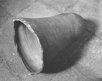 Botija