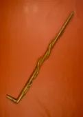 Bastón