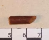 Palillo