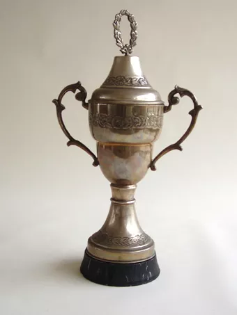 Copa amatoria