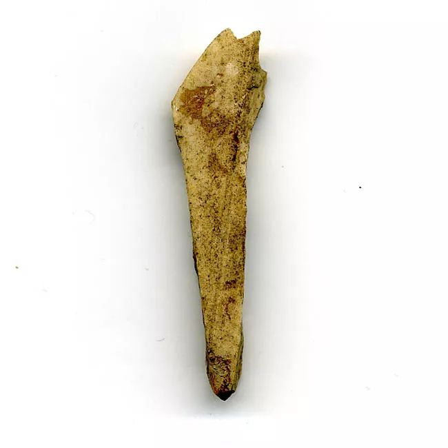 Artefacto