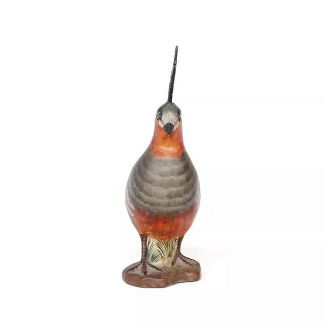Pájaro