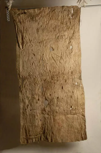Tela