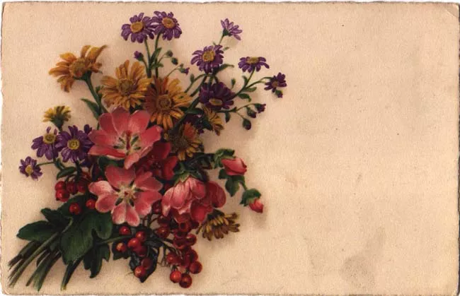 Flores