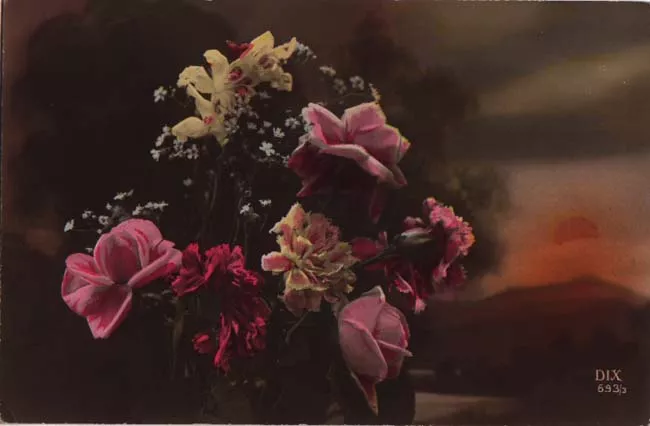Flores Rosadas