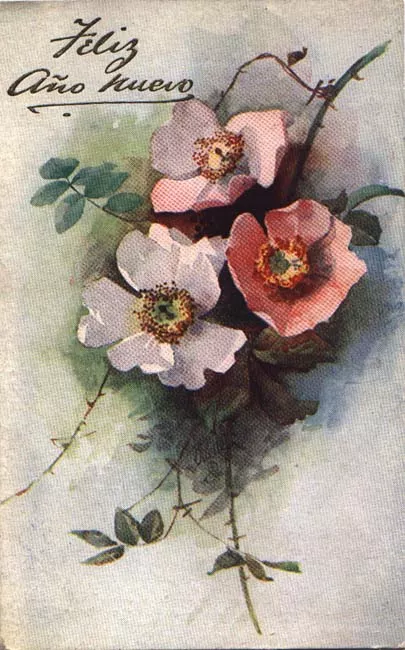 Flores