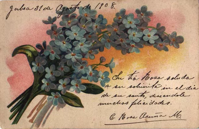 Ramo de Flores Azules