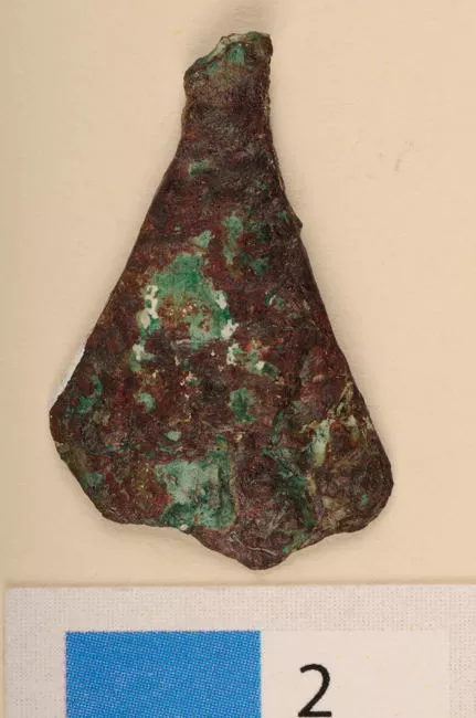 Pinza