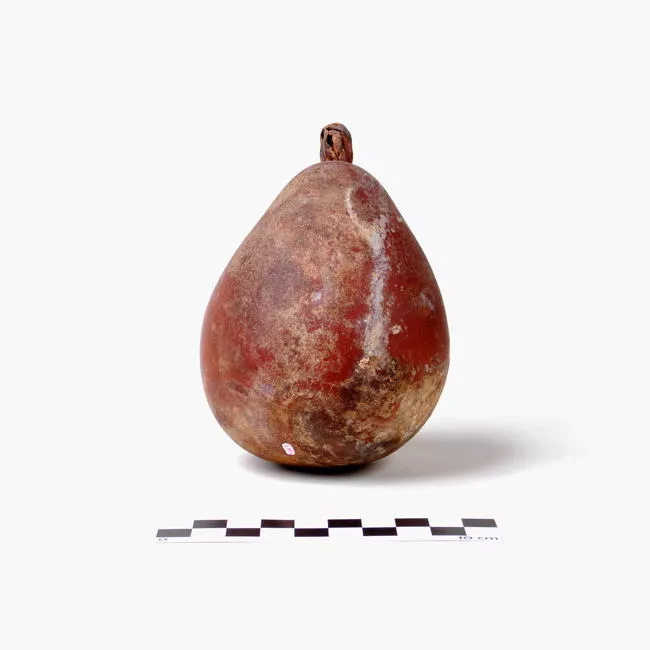 Calabaza