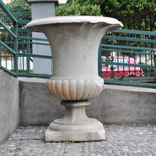 Macetero del Santa Lucía 