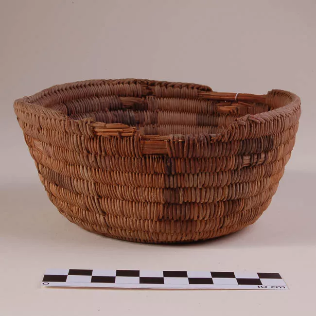 Cesta