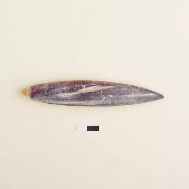 Pesa de pesca
