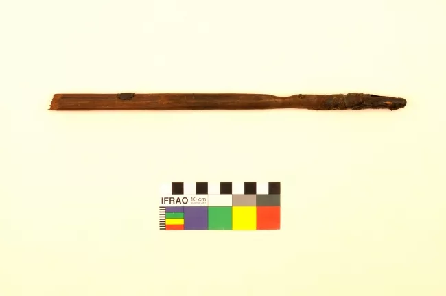 Estólica