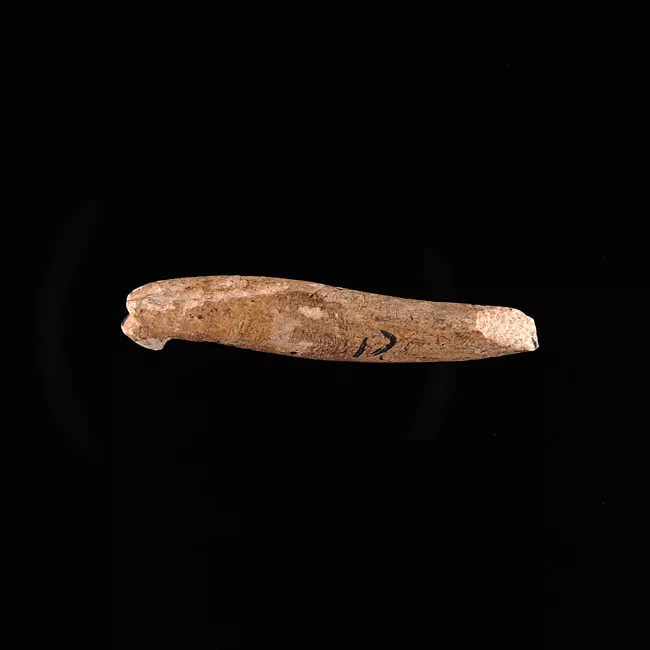 Arpón
