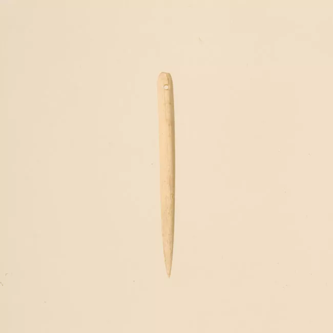 Aguja (arqueológico y etnográfico)