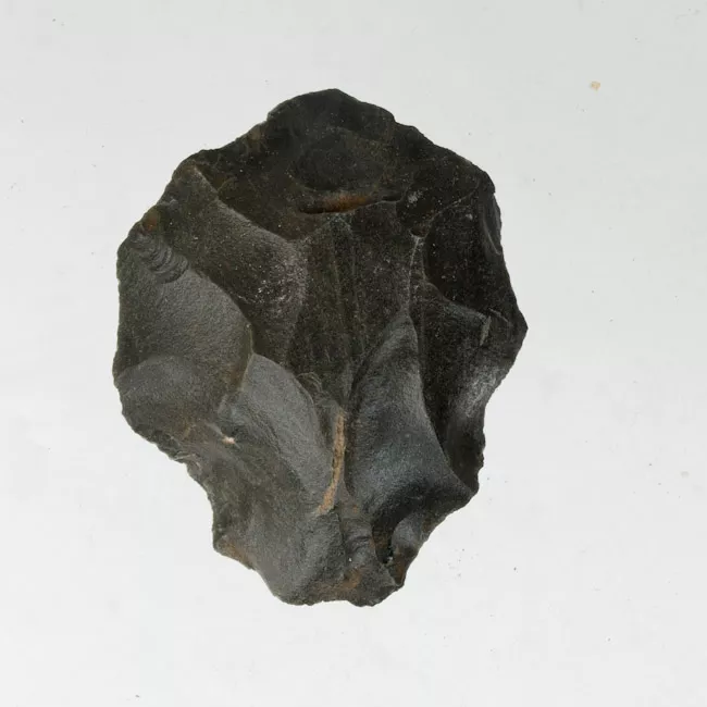 Raedera