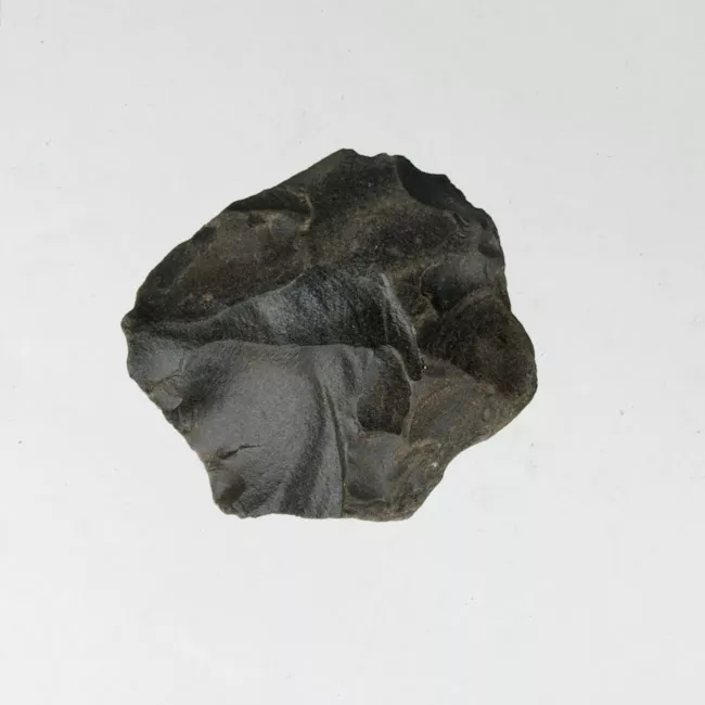 Raedera