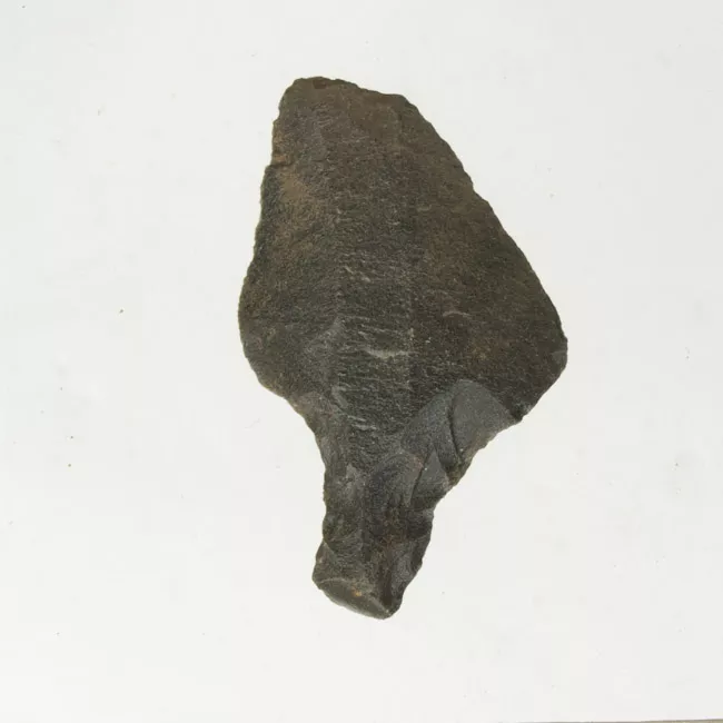 Mata'a