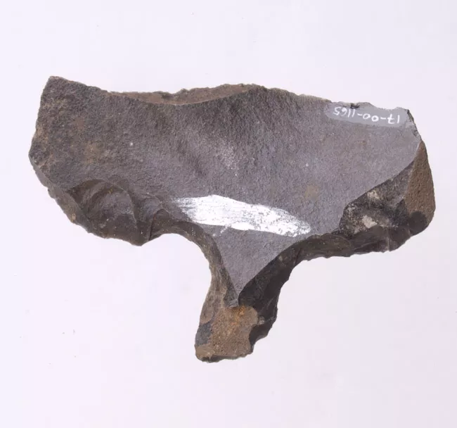 Mata'a